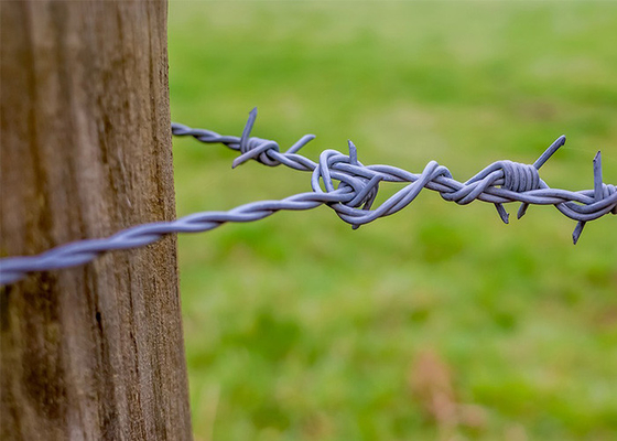 Electro-Galvanized 	Security Barbed Wire For Isolating And Protecting