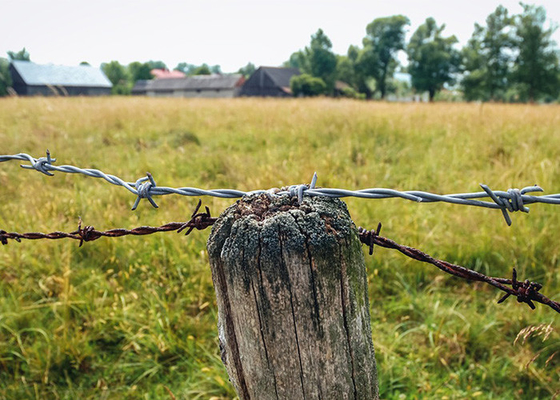 Rust Resistance 3or 4inch Barb Distance Galvanized Barbed Wire Roll