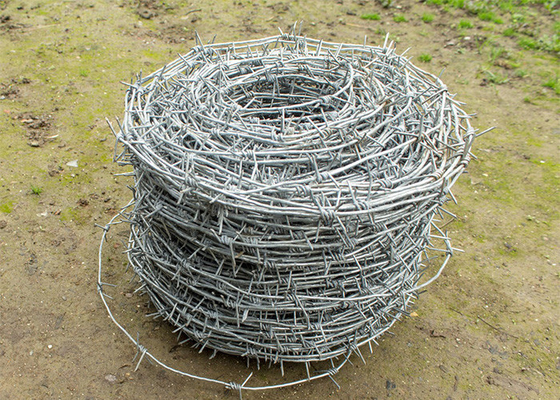 Rust resistance Single strand Hot Dipped Galvanized steel Barbed Wire