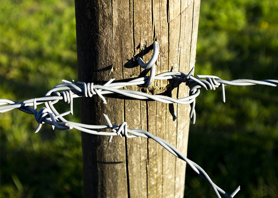 Rust Resistance Double Strand Reverse Twist  Stainless Steel Barbed Wire