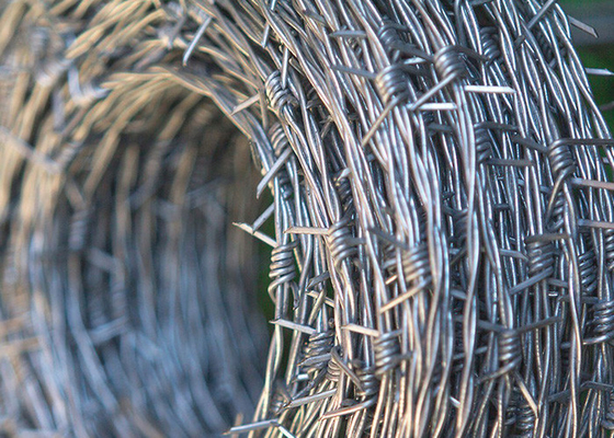 Rust Resistance 500 Meters  Single Strand Hot Dipped Galvanized Barbed Wire