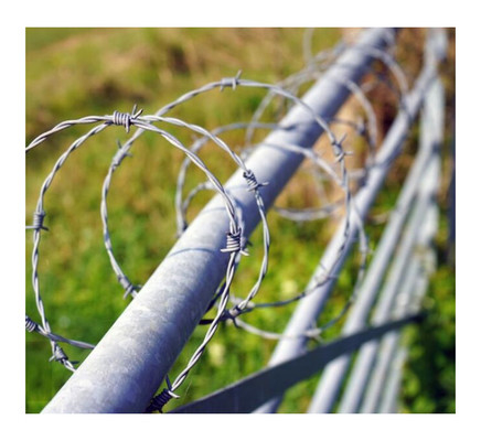 Traditional Galvanized Barbed Wire Coil 400M 500M 50Kg Per Roll Steel 5mm Diameter for Fence and Protection