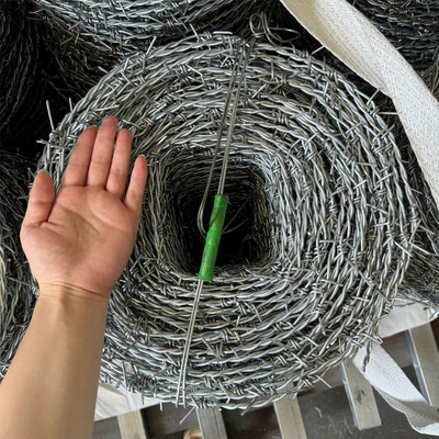Traditional Galvanized Barbed Wire Coil 400M 500M 50Kg Per Roll Steel 5mm Diameter for Fence and Protection