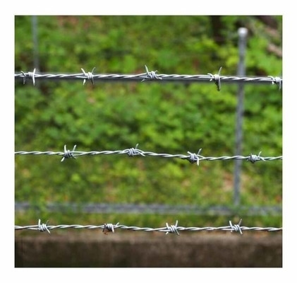 School Enclosure Special Barbed Wire Mesh Cheap Price Security Barbed Wire