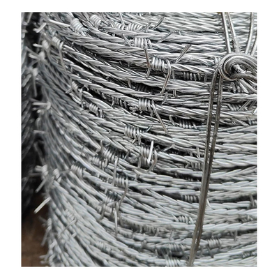 High Quality South America Market Galvanized Double Twisted Barbed Wire Fencing 500 Meters