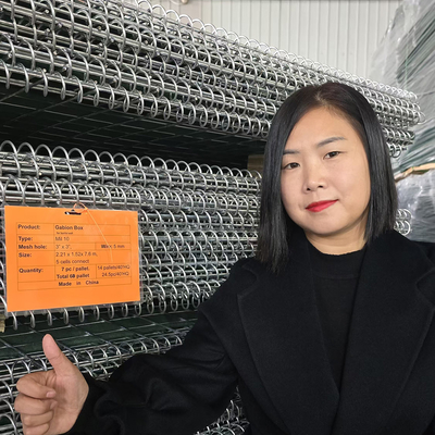 Hot Dipped Galvanized Mendenhall River Semi Permanent Levee Of Military-grade Flood Hesco Barriers