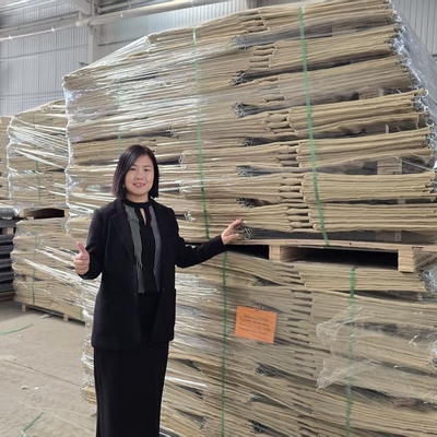 MIL1, MIL 7, MIL 10, MIL 12, MIL 19 2.74M High Hot Dipped Geotextile Lined Welded Gabion Hesco Bag for Military Defensive Barriers Bastions