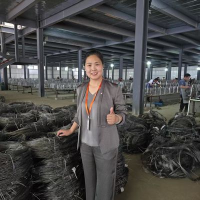 Putanka Mesh Low Visibility Wire Barrier For Military And Critical Infrastructure Zones
