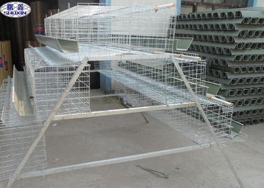 Custom Poultry Chicken Cages / Indoor Chicken Cage Angle Iron Steel Frame