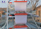 2 Sides Layer Chicken Cage , Poultry Breeding Cages Green Feed Trough