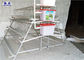 Poultry Farm 4 Tiers Layer Chicken Cage With Feeders And Water System