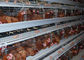 Galvanized Poultry Chicken Cages Steel Battery Egg Layer Chicken Cages With Trough