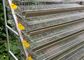 A Type Galvanized Steel Automatic Quail Birds Cages , Quail Breeding Cages 6 Tiers