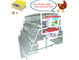 Durable Q235 Galvanized Chicken Layer Cage For Commercial Chicken Farm