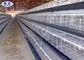 Galvanized Layer Chicken Open House Battery Cage System For Chicken Farm