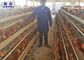 A / H Type Layer Chicken Cage With Automatic System For Poultry Farming Equipment