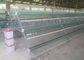 Popular Chicken Egg Layer Cage , Battery Cage System For Battery Chicken