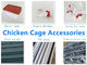 Stainless Steel Galvanized Mesh Automatic Egg Layer Chicken Cage