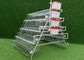 4 Tiers Hot Dipped Galvanized Automatic Hen Layer Chicken Cage