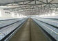 Type-A Battery Laying 3/4 Tiers Animal Farm Automatic Layer Chicken Cage