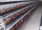 Galvanized Animal 2.8mm 4 Tiers Poultry Farm Cage