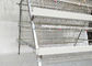 A Type Galvanized Poultry Battery Cages Animal Husbandry Equipment