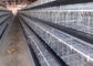Battery Galvanized Automatic Hen Layer COC Poultry Chicken Cages