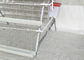 Large Capacity Galvanized Automatic Layer Hen Cages For 160 Chickens