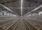 Poultry Farm Equipment A Type Q235 Layer Chicken Cage 4 Tiers