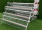 Galvanised 24 Cells Poultry Chicken Cages Automatic Water System