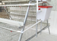Type A 160 Capacity Chicken Breeding Cages For Poultry