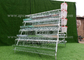 Automatic System 96 Poultry Chicken Cages Egg Layer Farm Equipment