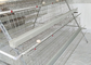 Automatic Feeding 160 Chickens Galvanized Chicken Cage Laying Hen Cages