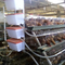 Durable Animal 3/4 Tiers Automatic Layer Chicken Cage Type A