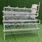 96 Birds Galvanized Wire Layer Chicken Steel Cage Automatic In Poultry Farm