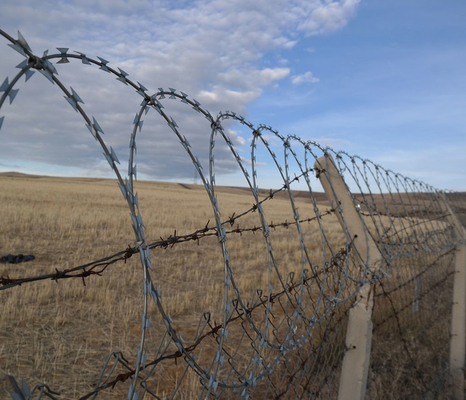 Galvanized Security Fencing Concertina Price Anti Climb Blade Barbed Wire Prison Razor Barbed Wire
