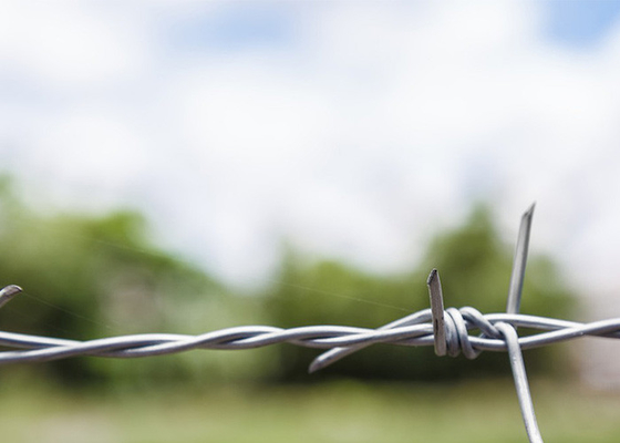 Use Of Prison Walls Double Strand Traditional Twist Electro Barbed Wire Coils