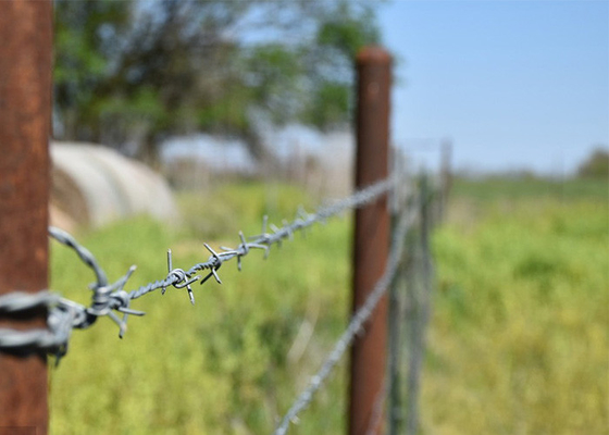 Use Of Prison Walls Anti Climb Double Strand Reverse Twist Barbed Wire