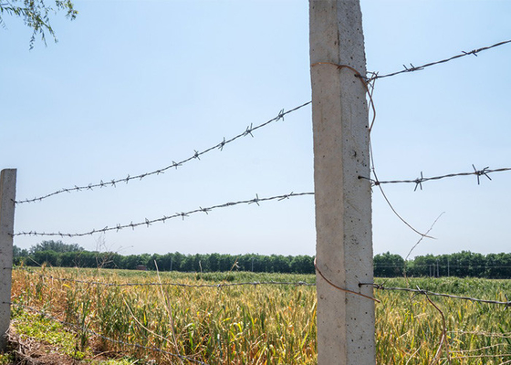 Double Strand Reverse Twist PVC Coated Iron Security Barbed Wire For Enhanced Security