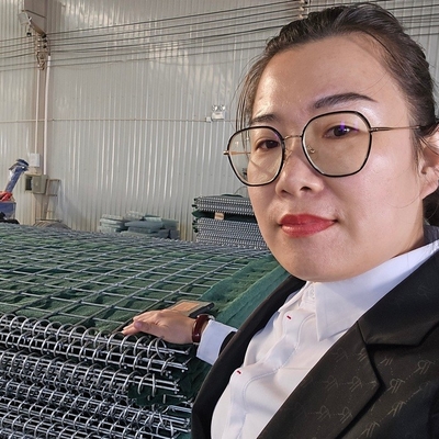 275g Zinc Coated Galvanized Military Barrier Wall 3m High