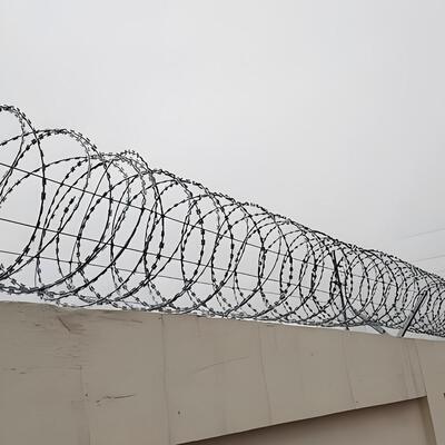 50cm Coild Stainless Steel Tape Concertina BTO-16 Razor Barbed Wire Fence